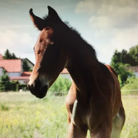 Farm stay Gut Fischer *