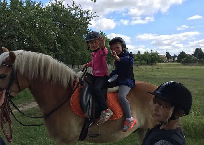 农家乐 Gut Fischer *